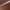 Terra cotta
