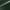 Experience Green